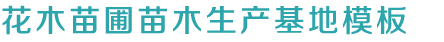 凯发手机